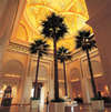 One&Only Royal Mirage 
